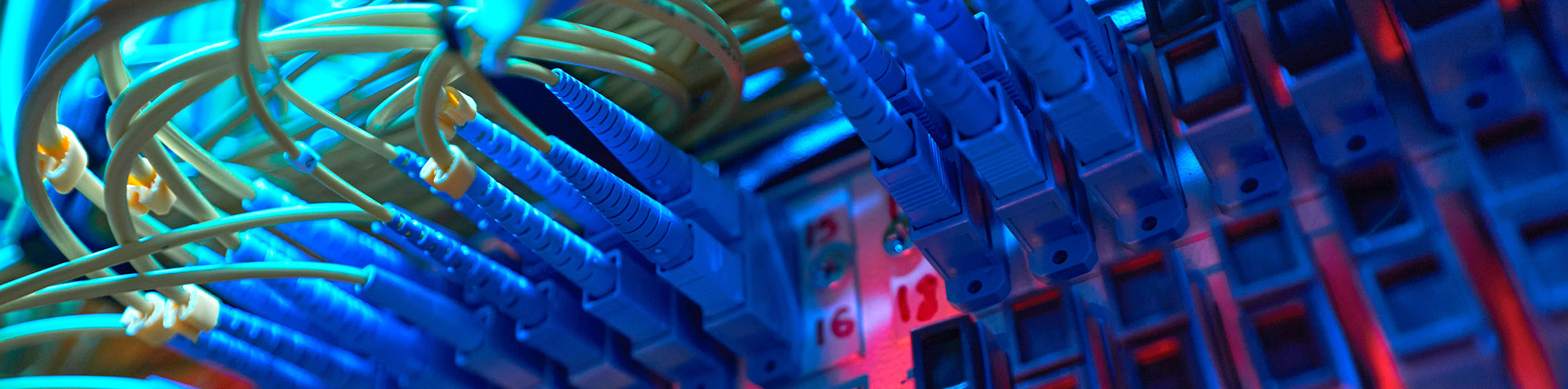Close-up of a network cable, showcasing its connectors and wiring details against a neutral background.