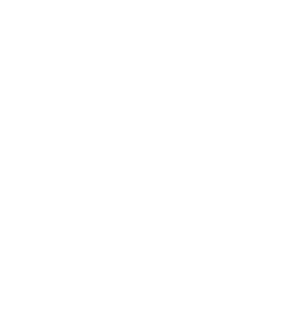 an icon representing cyber solutions.