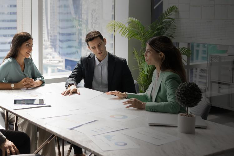 A diverse group of business professionals engaged in discussion around a conference table.